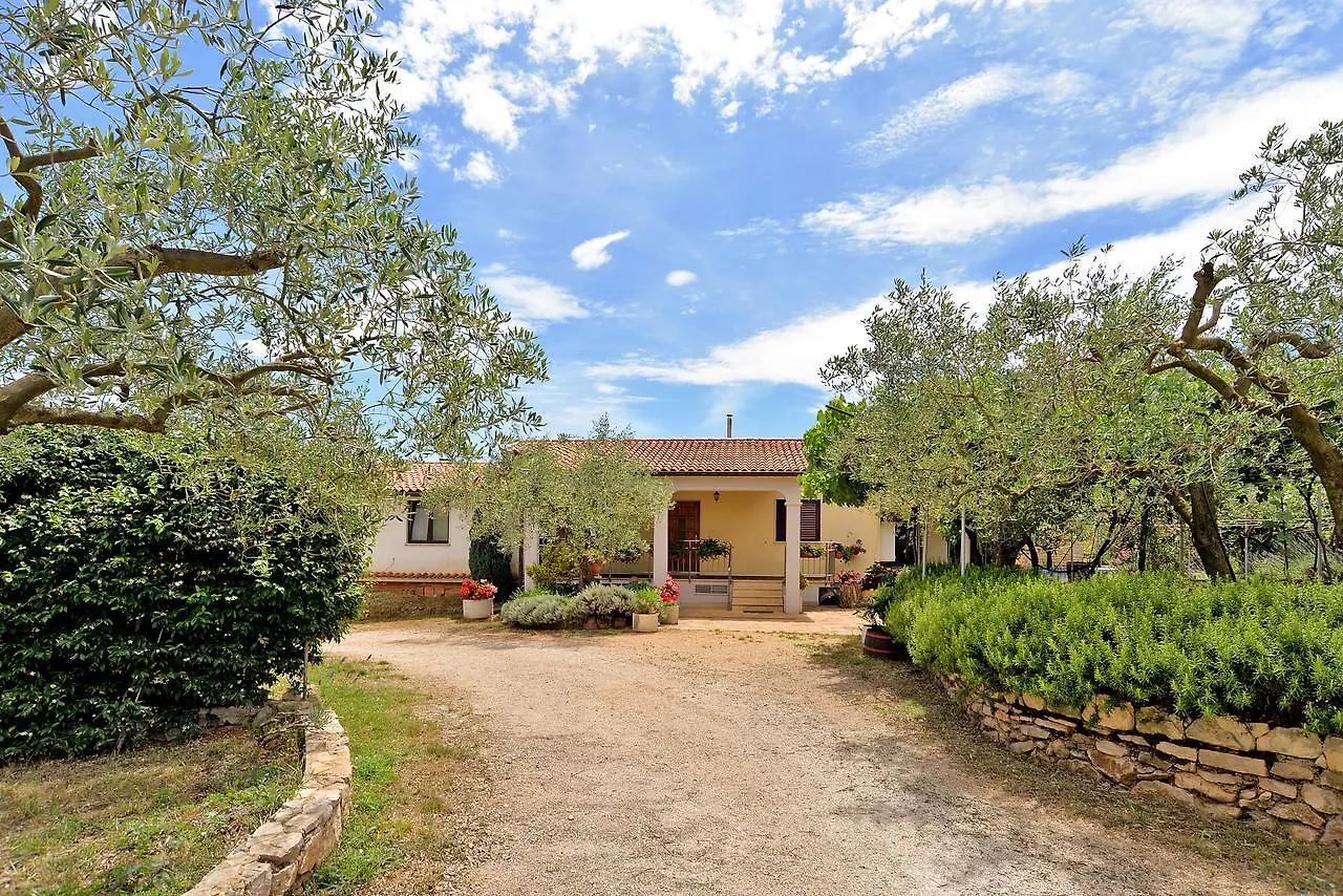 Apartment Mario 1679 Ρόβινι Κροατία