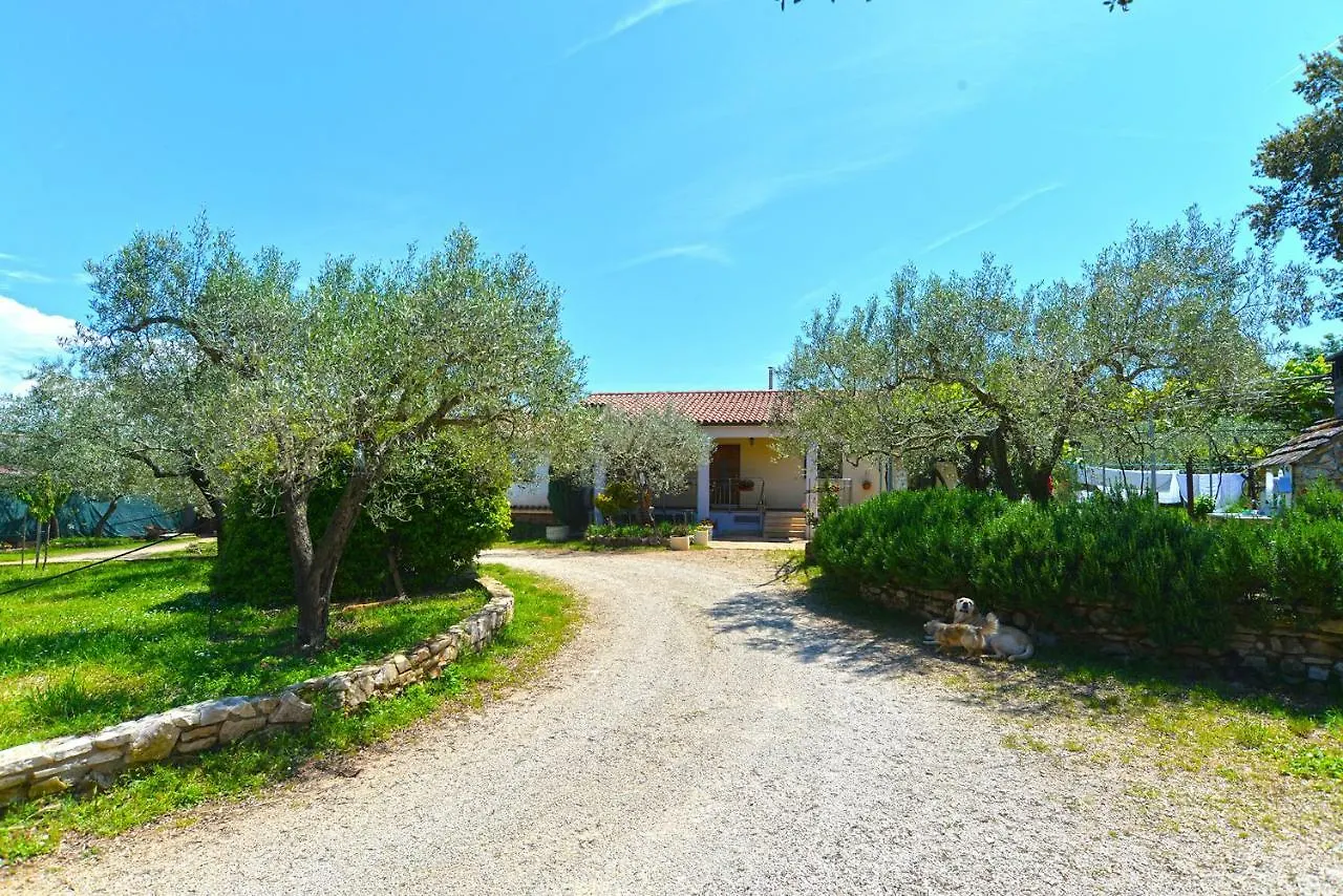 Apartment Mario 1679 Ρόβινι