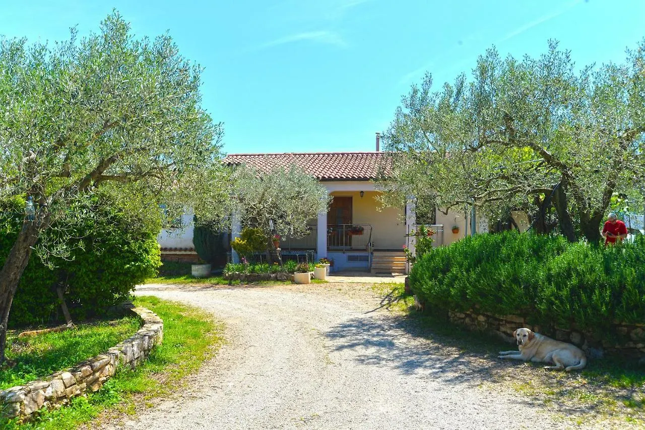 Apartment Mario 1679 Ρόβινι Κροατία